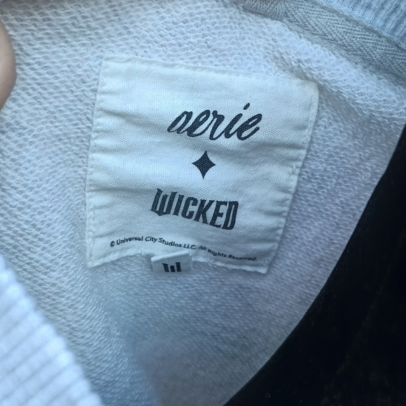 Aerie Wicked Light Gray Crew Neck Sweater_XS - Picture 6 of 8
